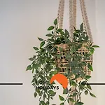 Appartement #250 Budget Albufeira